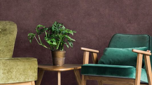 BANNER-LINEA-OPPOSITES